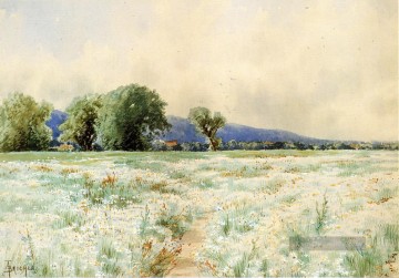 Das Gänseblümchen Feld Alfred Thompson Bricher Ölgemälde